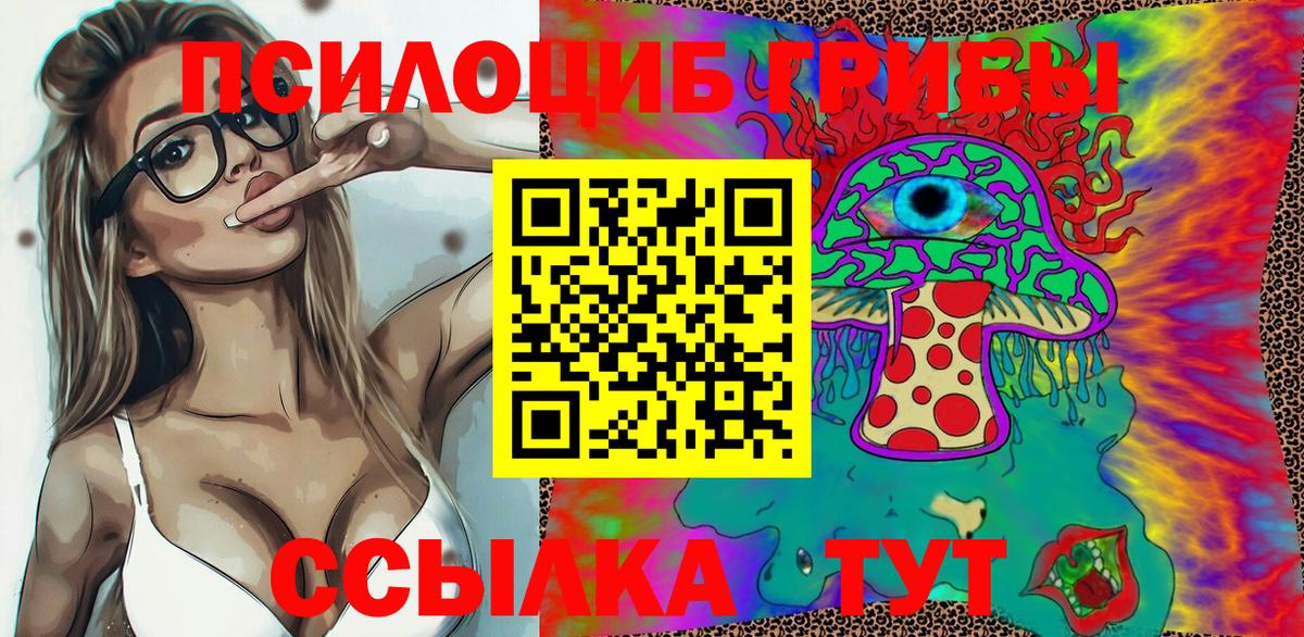 закладки  Псилоцибиновые грибы Magic Shrooms  Гусев  Вход с VPN  Галлюциногенные грибы прущие грибы 